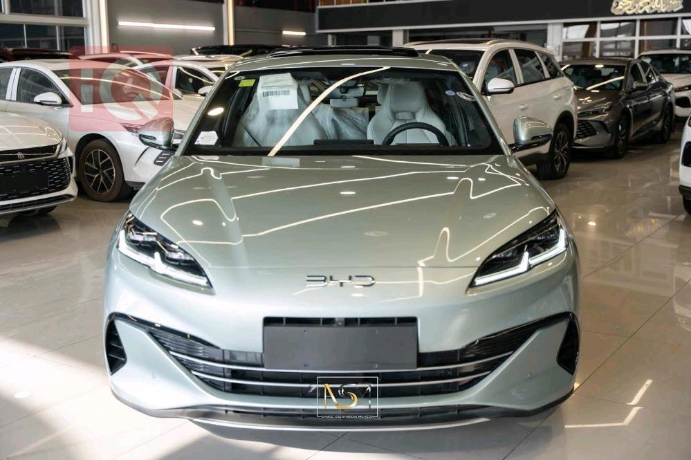 بي واي دي سيل 06 DM-i